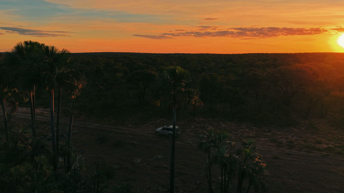 Veredas de Terra Ronca